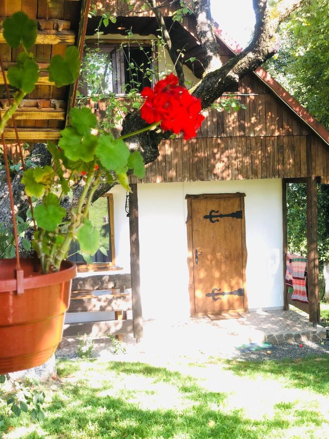 Еко Дім З Соломи Villa Solochin Luaran gambar