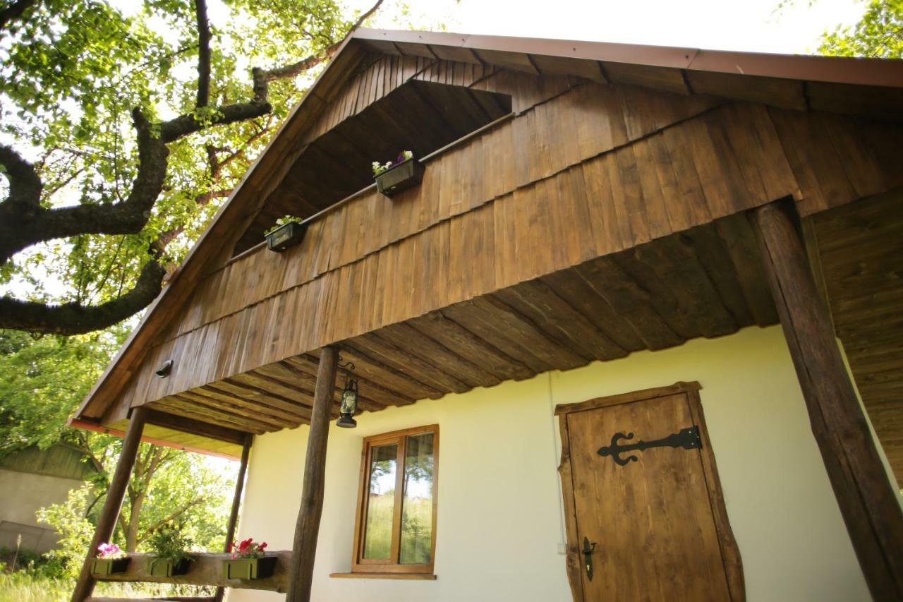 Еко Дім З Соломи Villa Solochin Luaran gambar