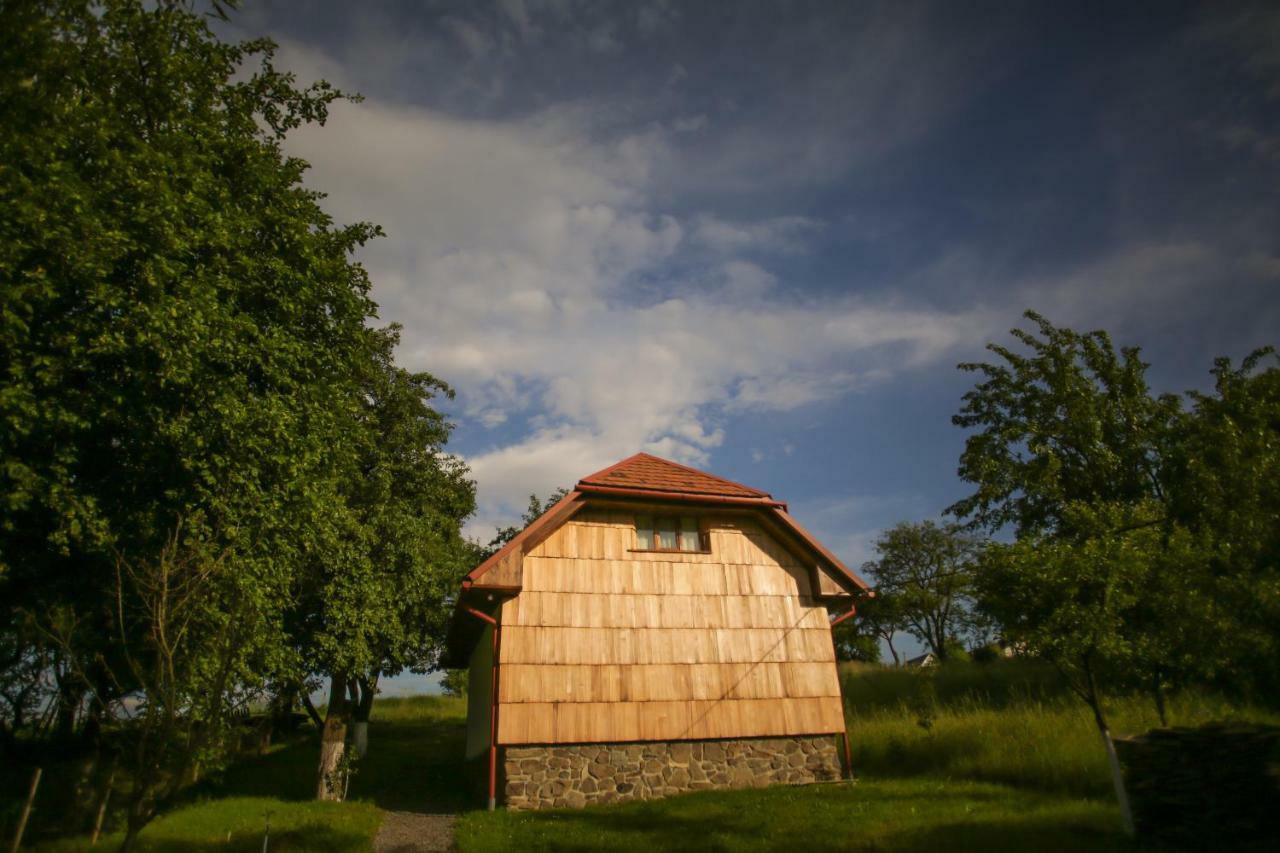 Еко Дім З Соломи Villa Solochin Luaran gambar