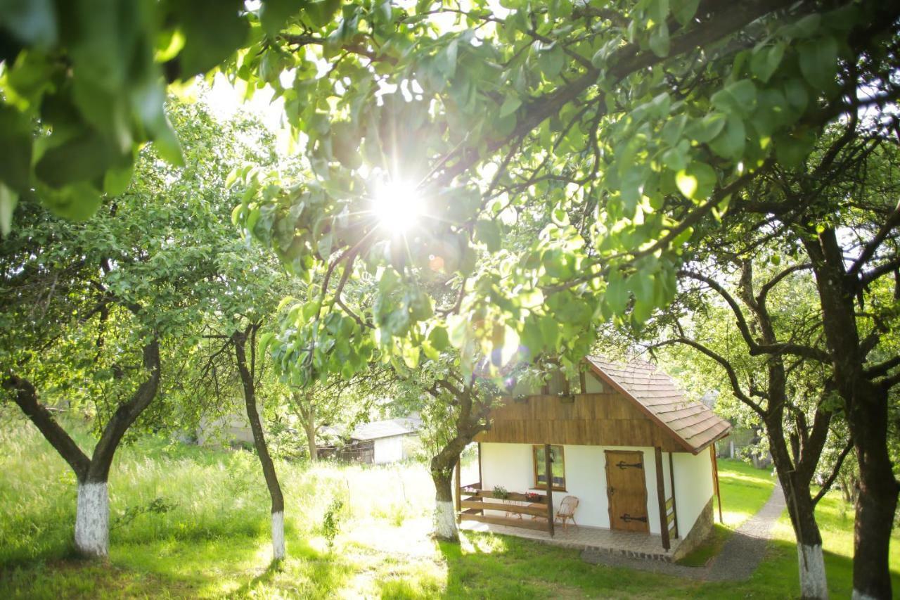 Еко Дім З Соломи Villa Solochin Luaran gambar