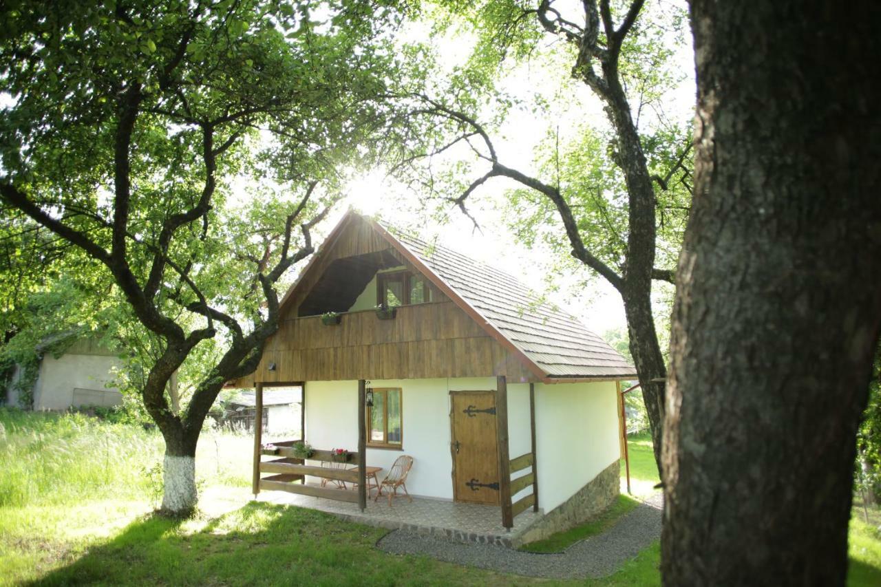 Еко Дім З Соломи Villa Solochin Luaran gambar